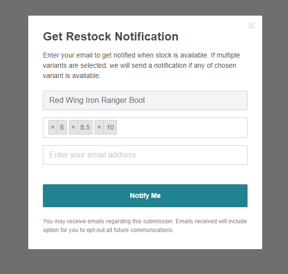 The Back In Stock notify-me popup on a sold-out product, asking the shopper for their email